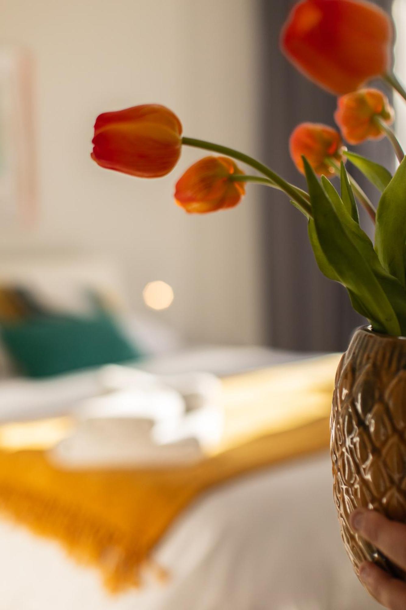 Veigas De Iria - Apartamento Turistico Vut Padrón Kültér fotó